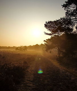 Good morning @ Diepe Meerven  Geotagged,The Netherlands