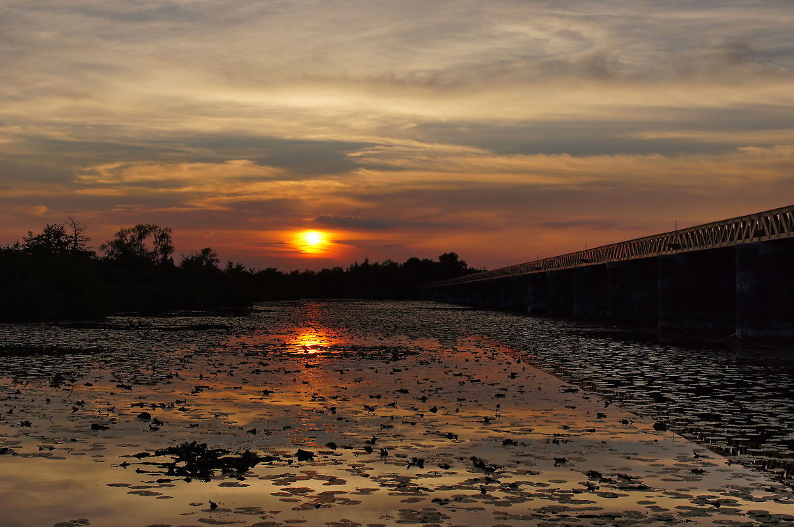 Sunset at Moerputten My favorite location for sunset pictures is nature reserve &#039;de moerputten&#039; near Den Bosch.<br />
The bridge used to be a railway bridge, but is now converted to pedestrian bridge. Geotagged,The Netherlands