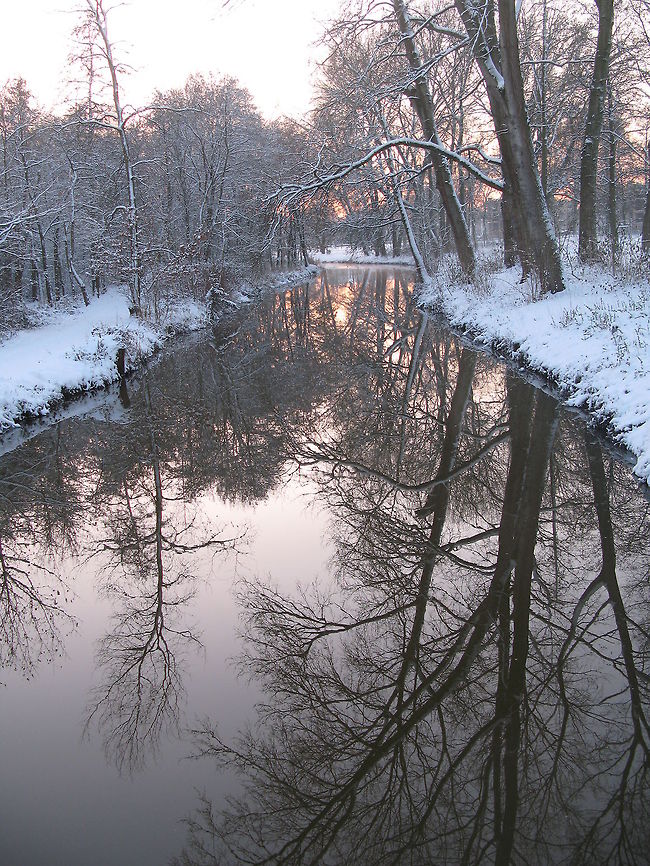 Genneper park in winter look Hopefully we get winter scenes like this again the coming winter. Geotagged,The Netherlands