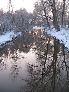 Genneper park in winter look Hopefully we get winter scenes like this again the coming winter. Geotagged,The Netherlands