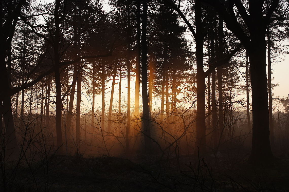 Oud Meer sunset Sunset at 'Oud Meer'. Geotagged,The Netherlands,sunset