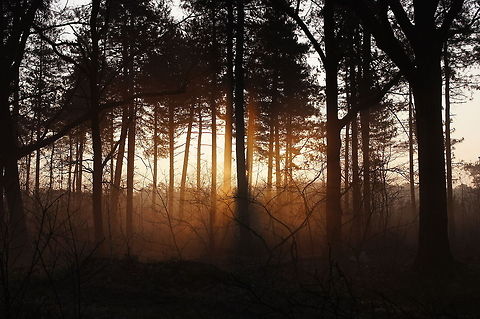 Oud Meer sunset Sunset at 'Oud Meer'. Geotagged,The Netherlands,sunset
