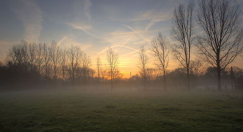 Genneper park sunrise HDR image of a sunrise above Genneper park. Geotagged,The Netherlands