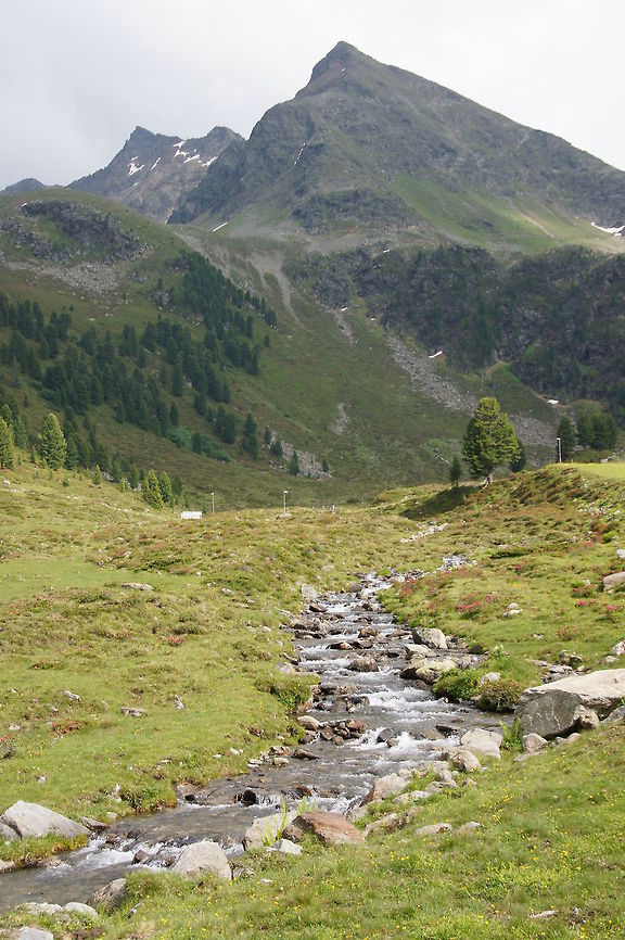 Alp landscape Typical landscape of the alps in Austria in the summer. Austria,Geotagged