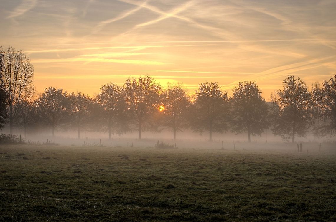 Genneper park morning HDR shot of a sunny morning in the Genneper park. Geotagged,The Netherlands
