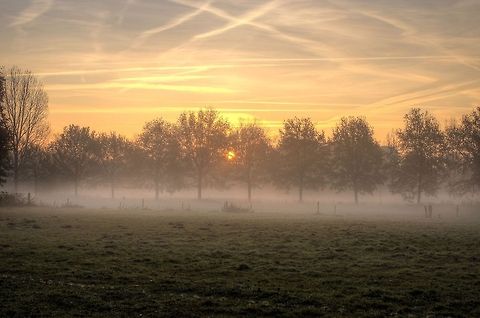 Genneper park morning HDR shot of a sunny morning in the Genneper park. Geotagged,The Netherlands