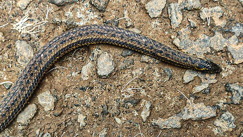 IMG_20240930_08184991  Fall,Geotagged,India