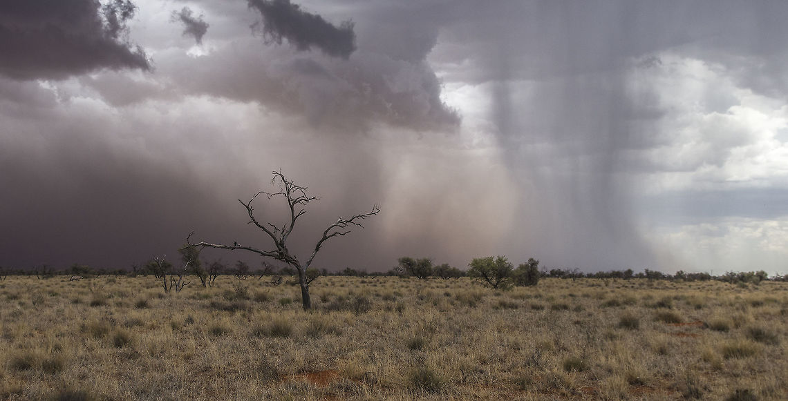 Sand / Rain Storm This was a huge sand / rain storm.  Winds were 70km/h.   Geotagged,Natural events,South Africa,Summer,landscape,rain,sand storm