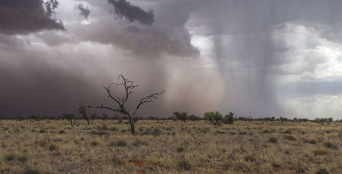 Sand / Rain Storm This was a huge sand / rain storm.  Winds were 70km/h.   Geotagged,Natural events,South Africa,Summer,landscape,rain,sand storm