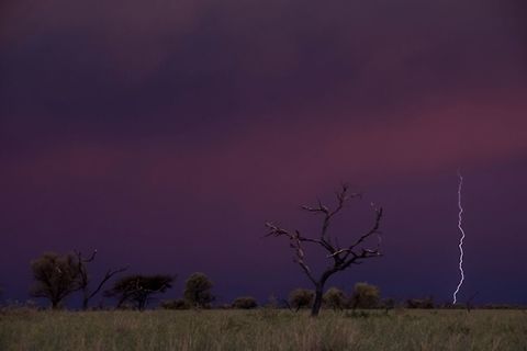 Karoo Storm  Geotagged,Karoo,Lightning,South Africa,Summer