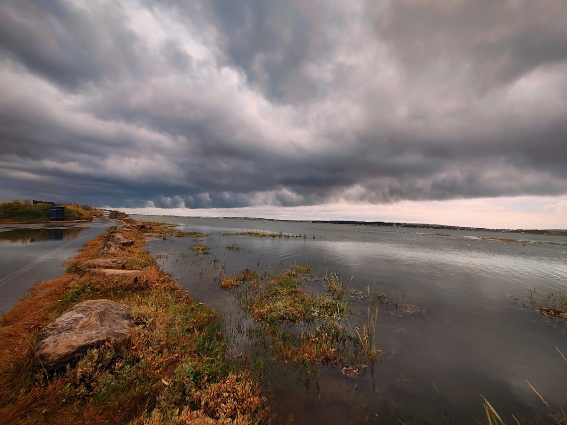 IMG_20240820_120406~2  Geotagged,Summer,United Kingdom