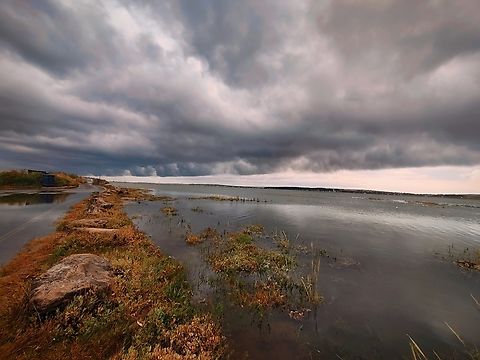 IMG_20240820_120406~2  Geotagged,Summer,United Kingdom