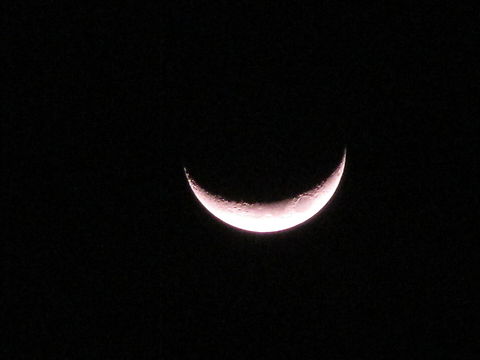 JUNGLE MIDNIGHT CLICKED BY CANNON POWERSHOT moon