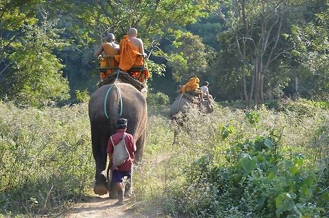 Off to work we go Buddhist monks riding elephant Asian elephant,Elephas maximus,elephant,monks