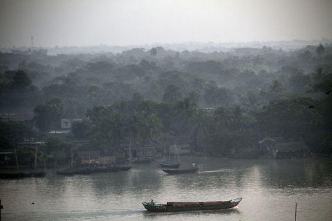 3 Dimension  palm trees,river