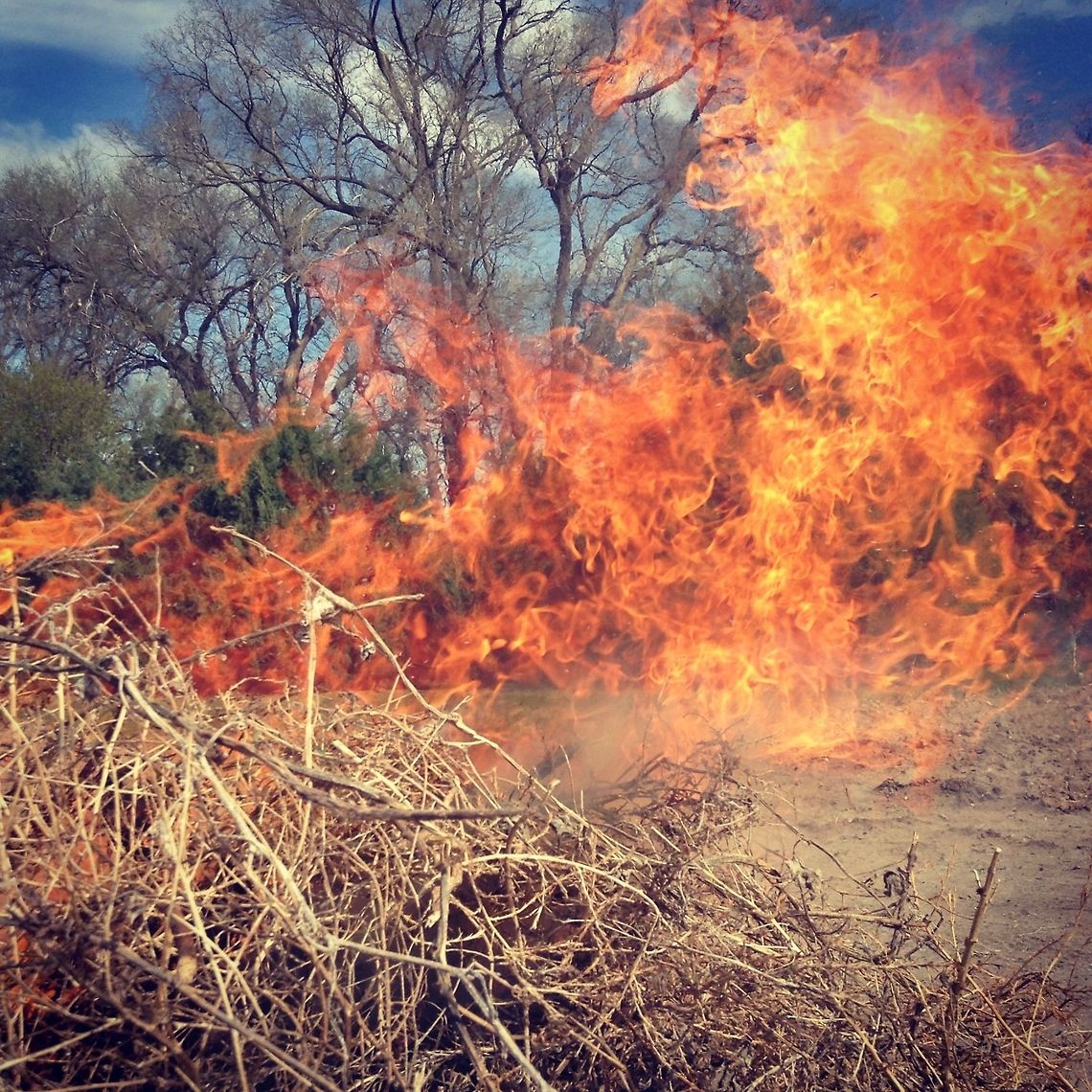 Wildfire  Natural events,Wildfire