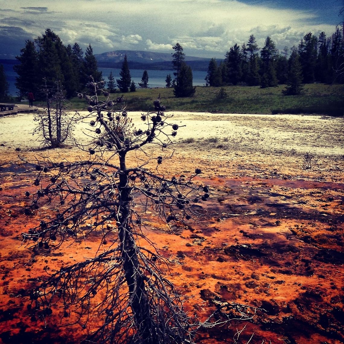 image  landscape