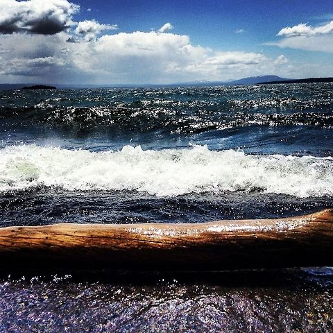 image  Geotagged,United States