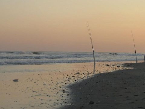 Fishing This was taken at Holden Beach, North Carolina. Beach,Geotagged,United States,ocean,sand,seashells,water