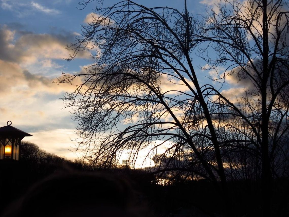 Right before Sunset some trees at Appalachian State University just before sunset Clouds,Geotagged,Shadows,Sky,Sunset,United States,trees