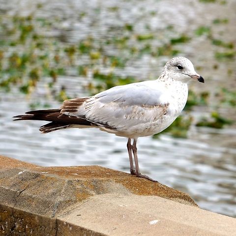 DSC00144