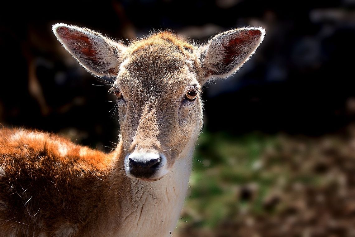 Hello  Geotagged,United States