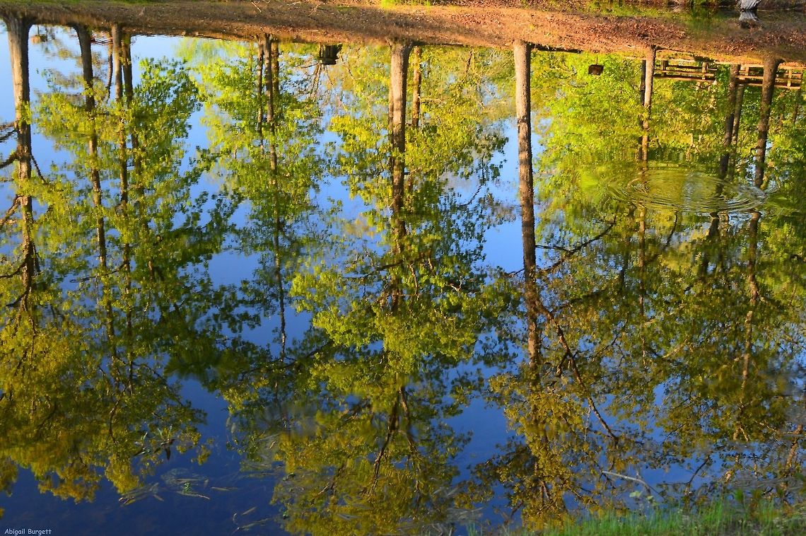 reflection  Geotagged,United States
