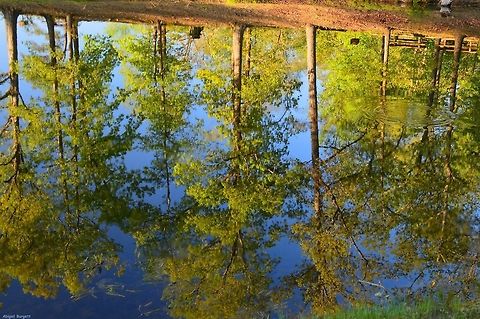 reflection  Geotagged,United States