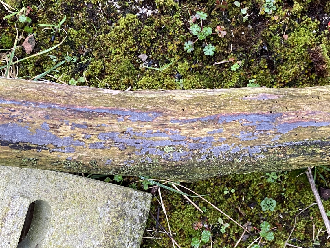 IMG_4849  Geotagged,United Kingdom,Winter