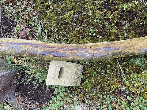 IMG_4848  Geotagged,United Kingdom,Winter