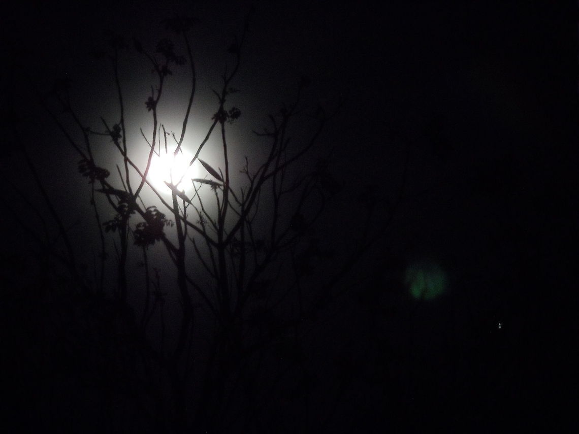 The moonlight Light of the night can be a source of energy to feel peaceful.  Geotagged,Indonesia,moon