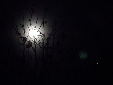 The moonlight Light of the night can be a source of energy to feel peaceful.  Geotagged,Indonesia,moon
