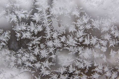 Breath of Ice Pictures of frost are just so tempting. Happily, this one of my first frost photos I have taken. It was a bit challenging to zoom in and get the camera to focus just right, not to mention my breath was fogging the glass and melting the frost a bit. Chicago,Geotagged,Illlinois,USA,United States,frost,ice,snow,winter