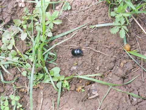 DSCN1008  Bosnia and Herzegovina,Geotagged