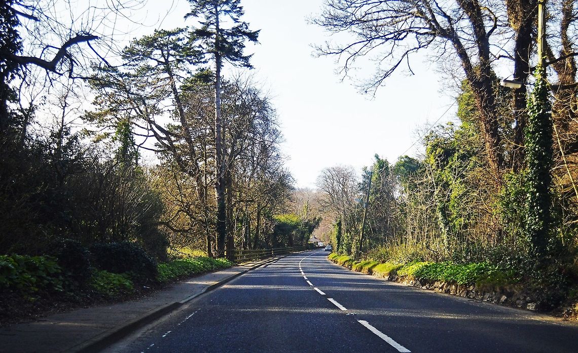 Journeys I was traveling with my Family and the rode was empty so I quickly decided to snap a picture. Just at the right time I have to say...although I really think my mother was worried in case a car came speeding around the time. Bark,Branches,Bushes,Forest,Leaf,Leaves,Trees
