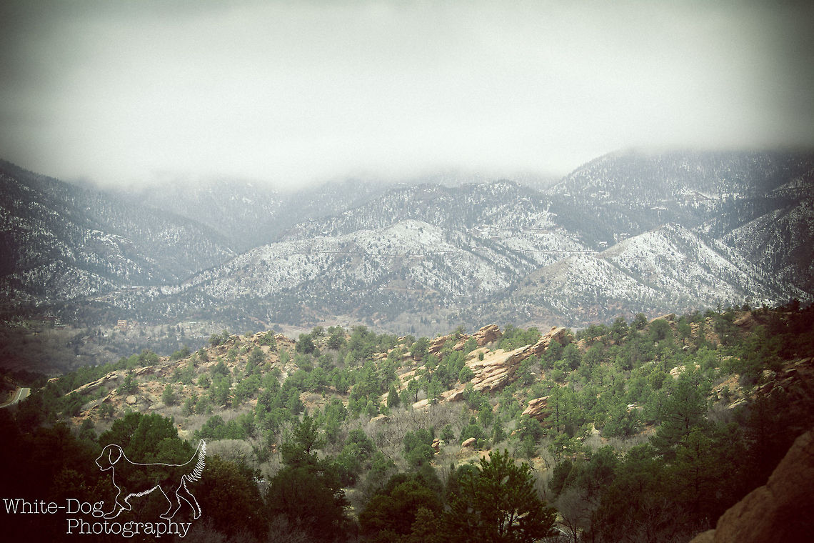 Colorado Landscape This photo was taken at the Garden of the Gods in Colorado Springs, Colorado.  I love the way the fog merges with the tops of the mountains and the layering of the landscape with the green at the bottom, speckled white of the mountains and the misty grey fog at the top.  Colorado,Geotagged,United States