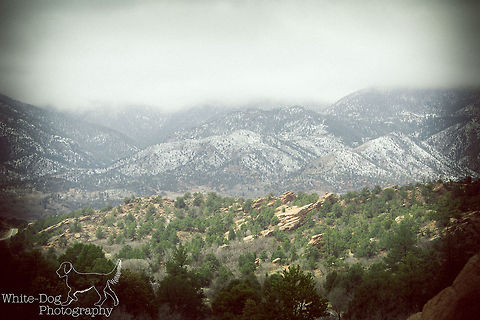 Colorado Landscape This photo was taken at the Garden of the Gods in Colorado Springs, Colorado.  I love the way the fog merges with the tops of the mountains and the layering of the landscape with the green at the bottom, speckled white of the mountains and the misty grey fog at the top.  Colorado,Geotagged,United States