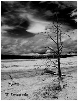 Fountain Paint Pot Area Taken at Fountain Paint Pot area in Lower Geyser Basin, Yellowstone National Park. Geotagged,United States