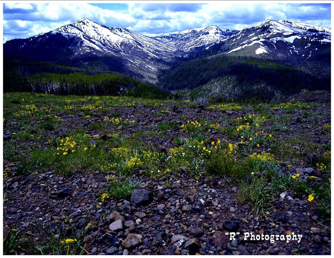 Snow-capped Mountains Snow-capped mountains in Dunraven Pass, Yellowstone National Park. Geotagged,United States