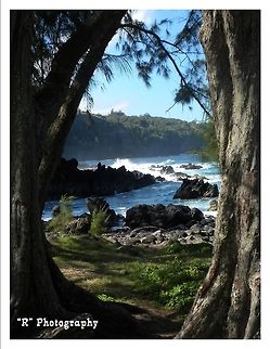 Ocean Front View Laupahoehoe, Hawaii. Geotagged,United States