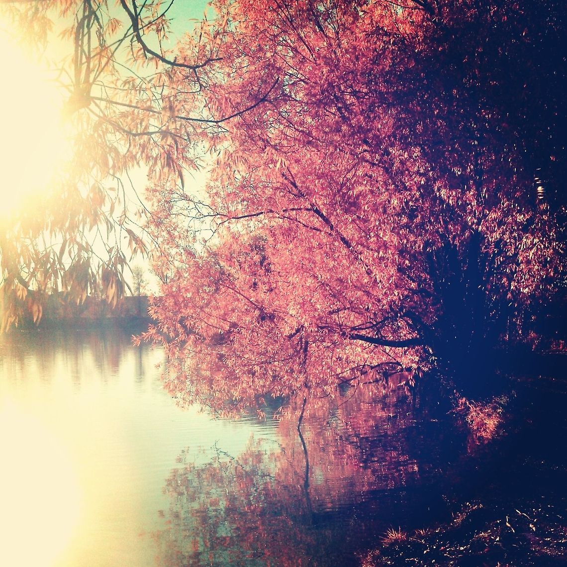 Fall in Bozeman Bozeman Pond, MT