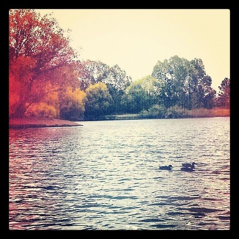 Edited Pond