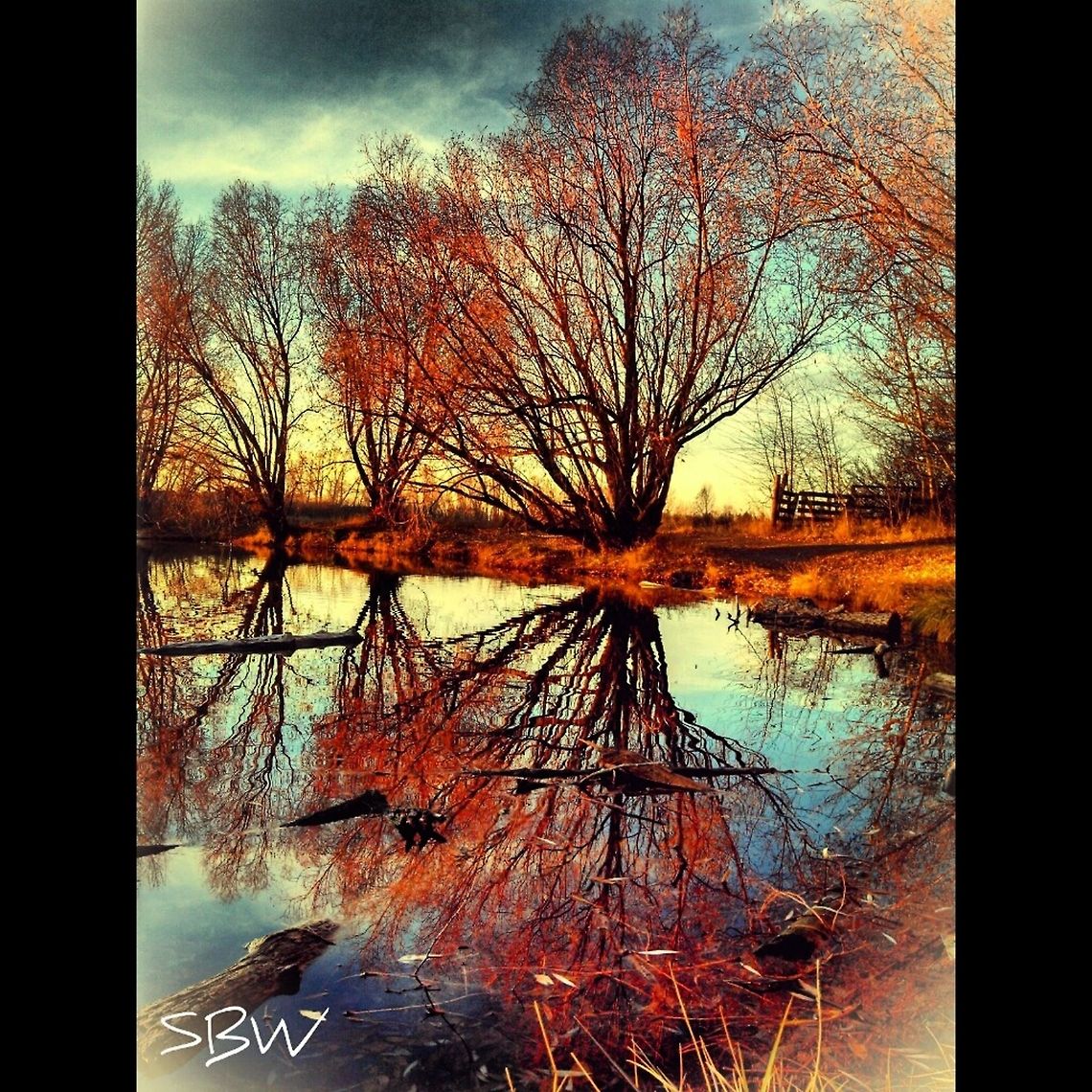 Fall Reflections Bozeman Pond, MT