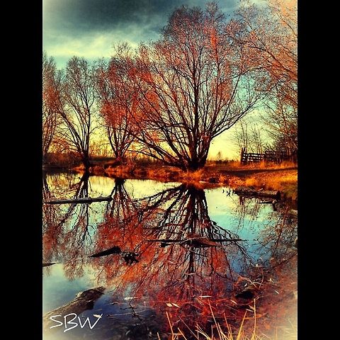 Fall Reflections Bozeman Pond, MT