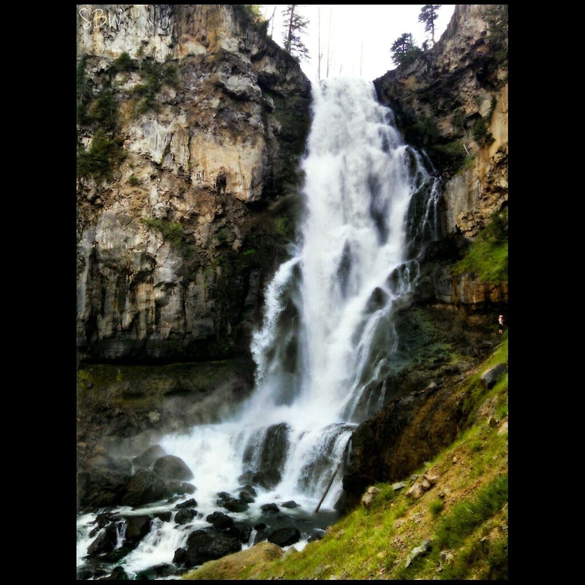 Osprey Falls, Yellowstone National Park This is one of my top 5 places in Yellowstone. The climb may be tough, but it's worth it in the end! This is an absolutely, beautiful place! Geotagged,United States,Waterfall