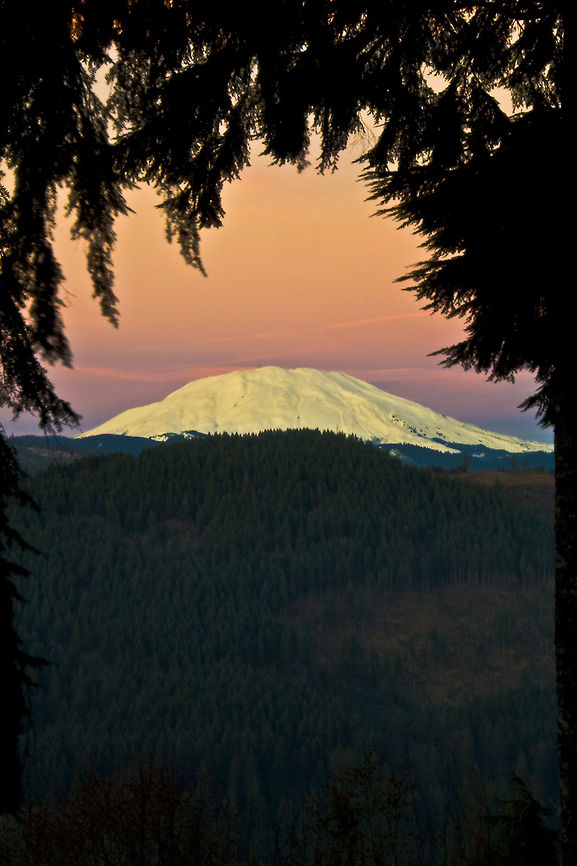 Mt._St_._Helens_  mountain