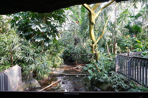 North Carolina Zoo Aviary  Aviary,Geotagged,United States,Winter,Zoo