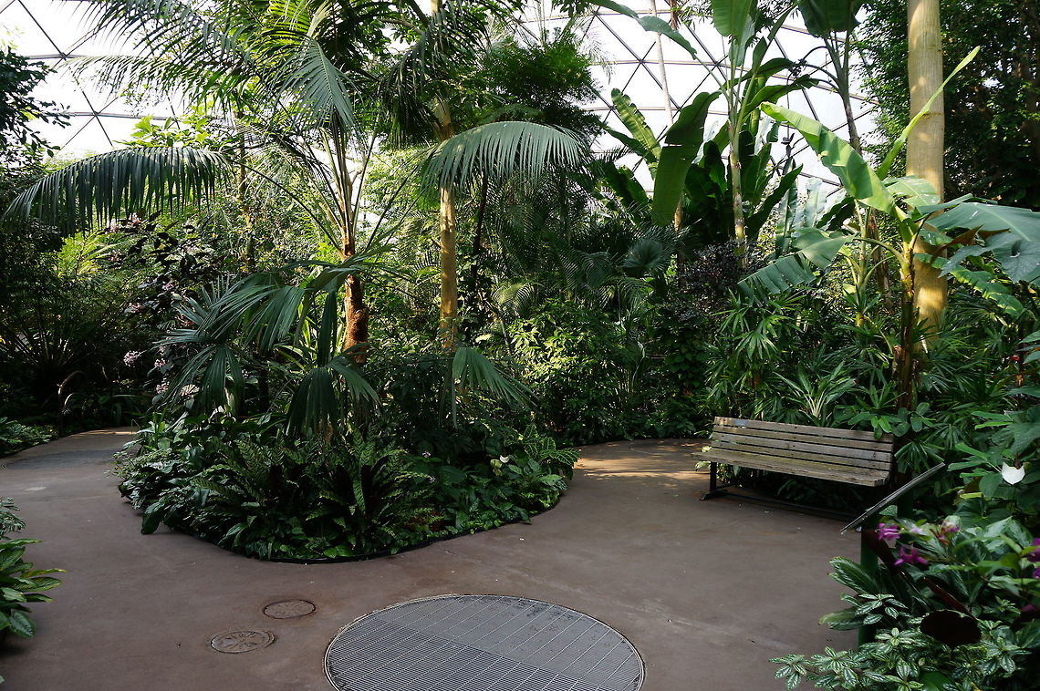 North Carolina Zoo Aviary  Aviary,Geotagged,United States,Winter,Zoo