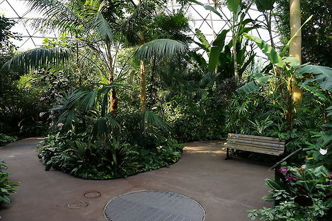 North Carolina Zoo Aviary  Aviary,Geotagged,United States,Winter,Zoo