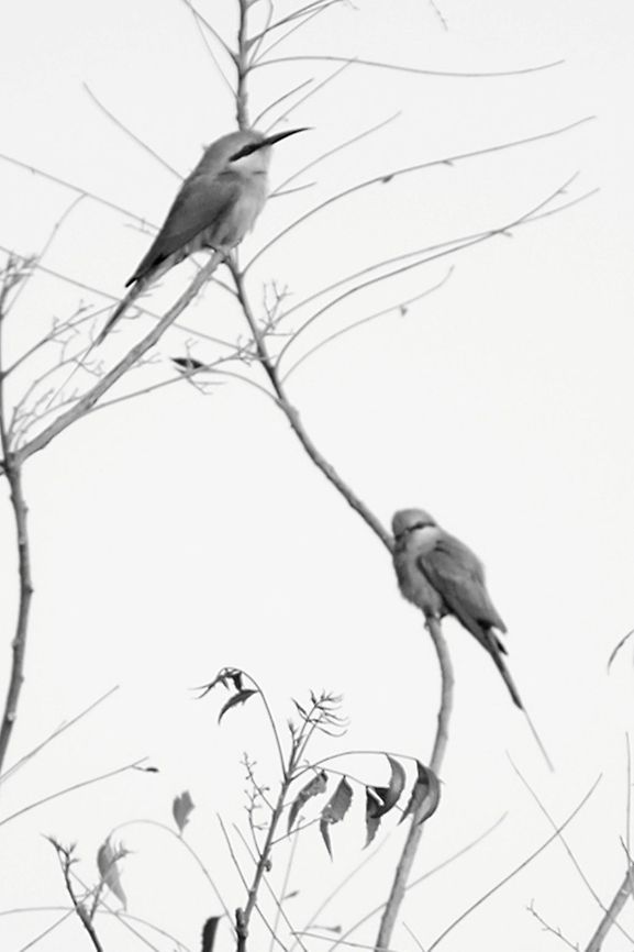 Art  Geotagged,India